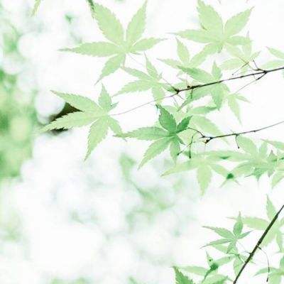 关于高质量发展，五大行董事长、行长都咋说！？